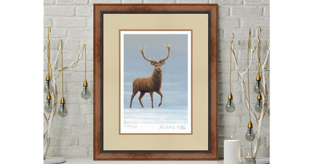 COMPETITION | Win A Wildlife Art Print Worth £150