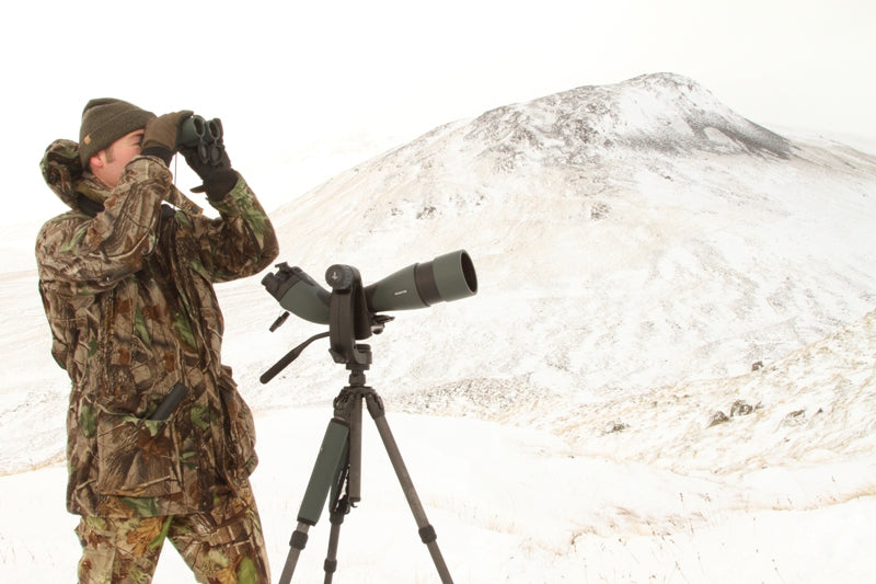 Incredible Wildlife of Scotland's Cairngorm Mountains Inspires New Artworks