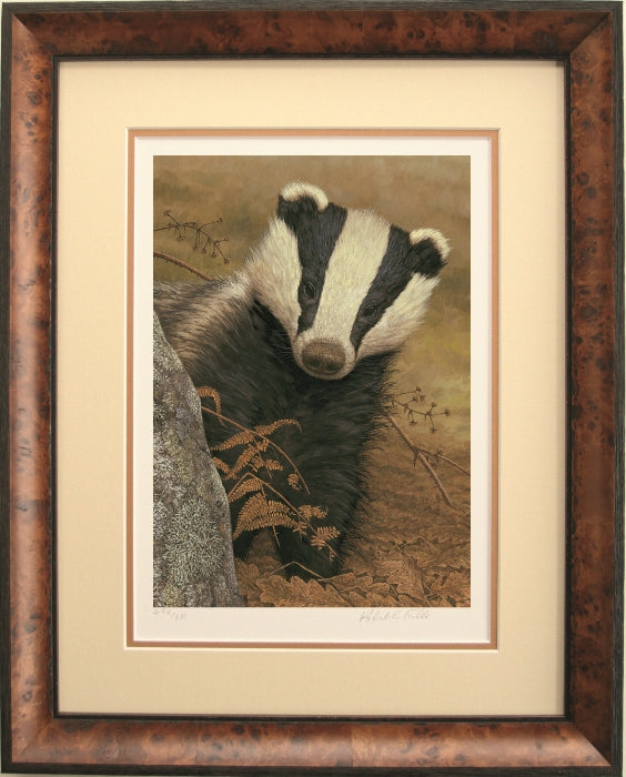 See My Collection of Badger Paintings