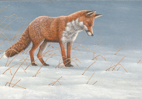 Wildlife in Winter: How the sight of a fox mousing in deep snow inspired a painting