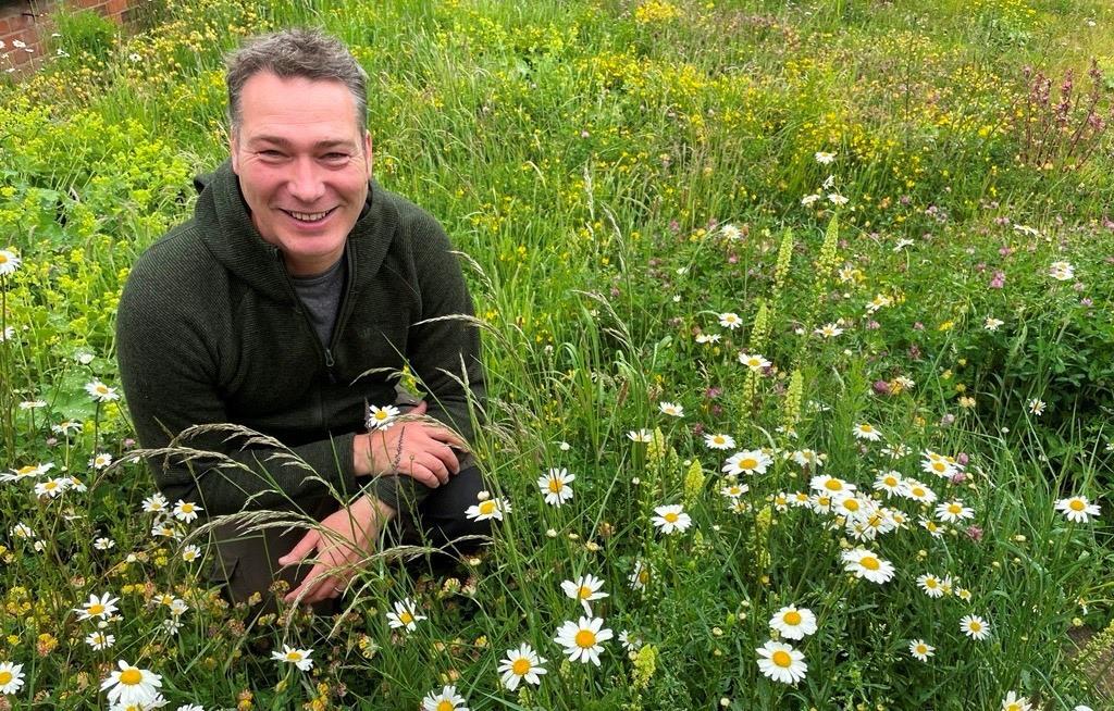 Amazing Summer of Wildlife on the Yorkshire Wolds