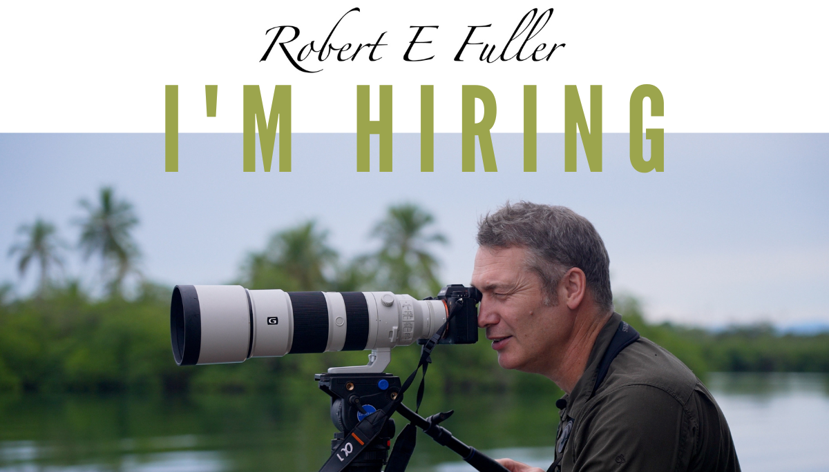 Want to work in wildlife filmmaking? We're hiring!