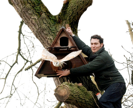 Helping barn owls to thrive on the Yorkshire Wolds