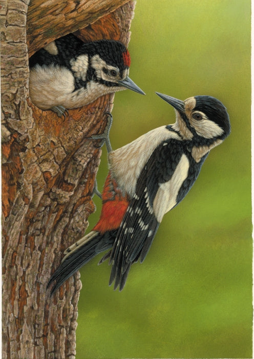 How a woodpecker fledgling inspired a new painting