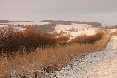 Snow Beginnings