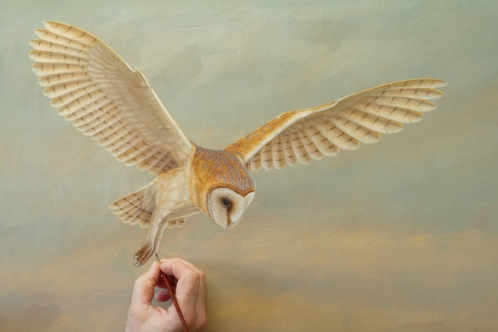 New original paintings of British wildlife