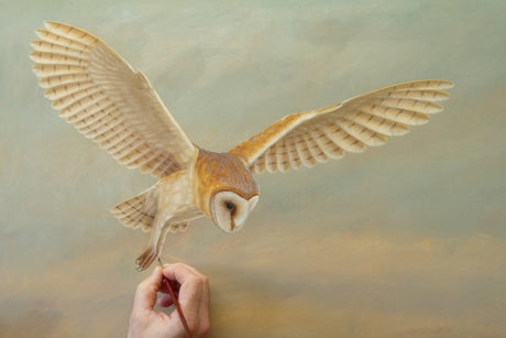 New original paintings of British wildlife