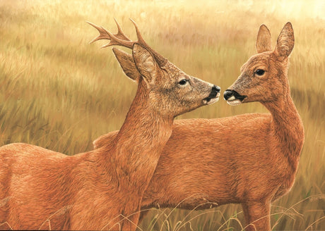 How I found myself in the middle of a 'roe ring', the circular courtship dance performed by roe deer