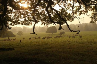 Studley Royal