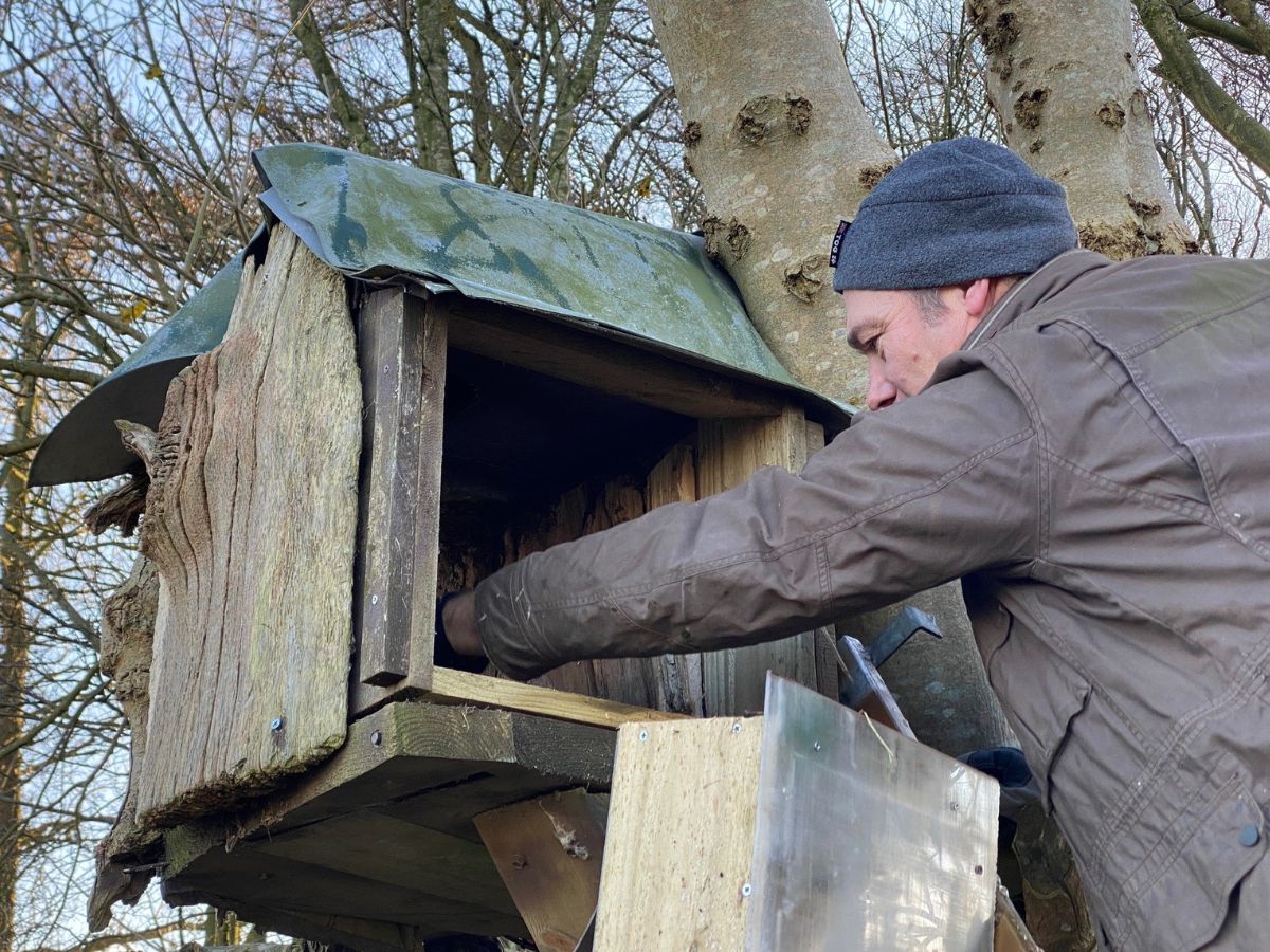 How to choose the right nest box for your garden birds