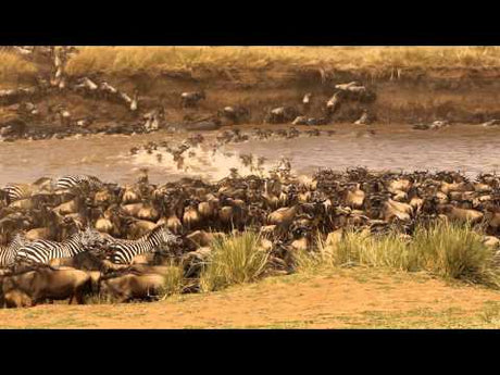 Fantastic river crossings