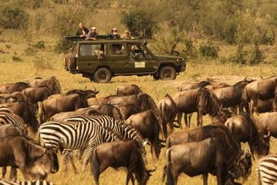 Masai Mara Marvel