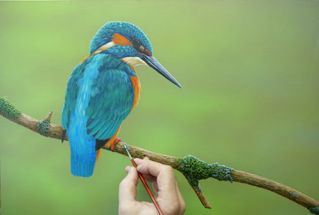 Kingfisher paintings inspired by intensive studies