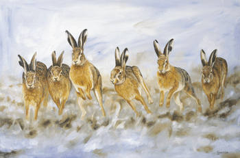 March Hares