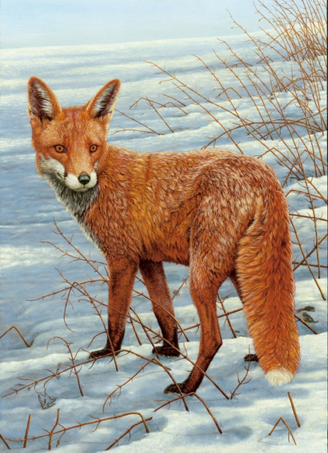 Watch my video of wildlife in winter and see the resulting paintings