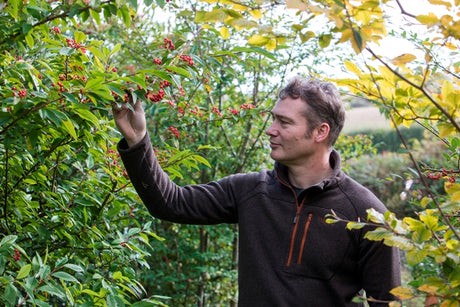 20 Years in the Making: A Garden for Wildlife Art