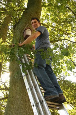 Nest Boxes Go Up On The Wolds