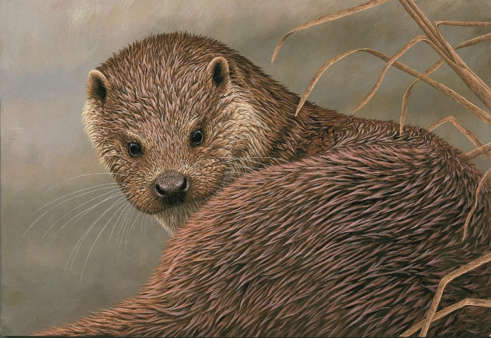 Otter art | a Collection of otter paintings