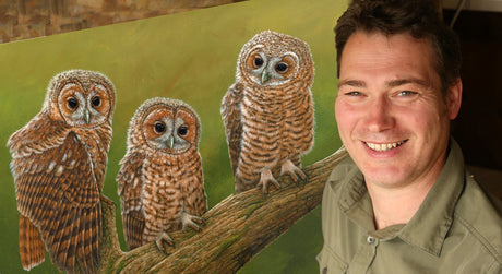 Natural treasures | three precious tawny owlets