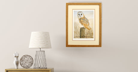 Beautiful Collection of Owl Art Prints