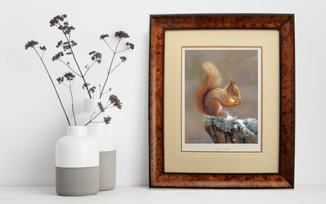 Seven Red Squirrel Gifts to go Nuts For