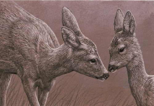 Wildlife Art Inspired by Mothers in Nature