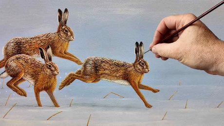 Film | Painting Hares From Start to Finish | Wildlife Art