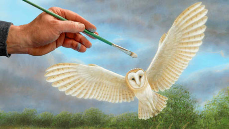 Film | Painting a Barn Owl  | Wildlife Art |