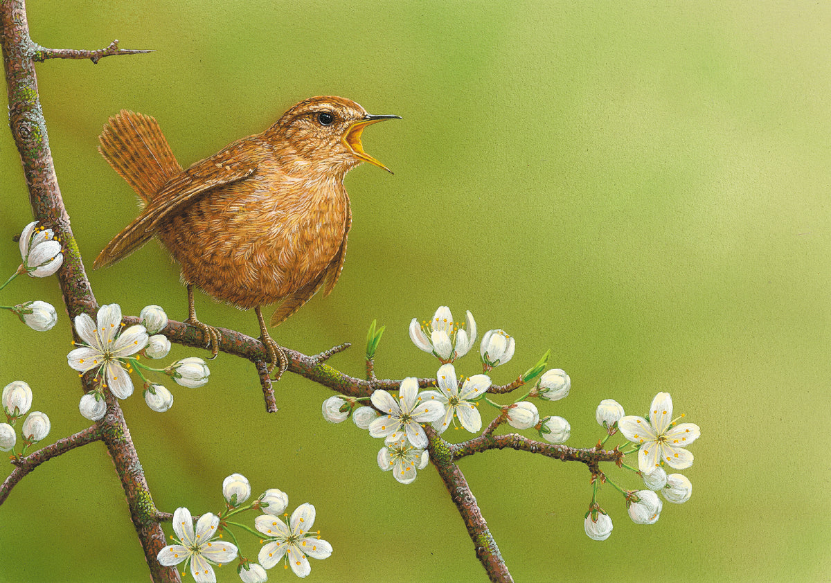 Understanding birdsong