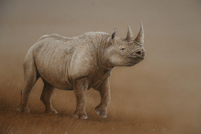 Close Encounter with a Rhino Inspires New Painting