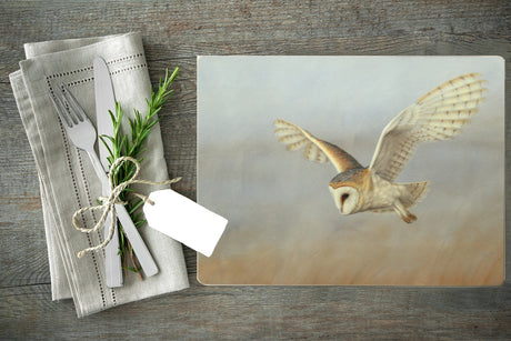 9 Owl Gifts for an Owl Art Lover