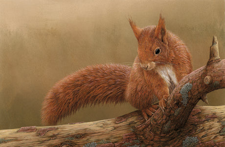 7 Stunning Squirrel Paintings for Red Squirrel Awareness Week