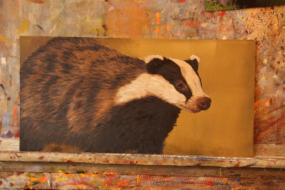 Badgers in Colour