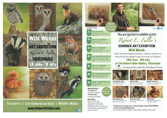 See Paintings of Woodland Creatures at My Summer Wildlife Art Exhibition