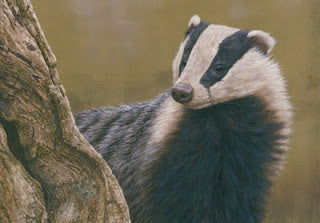 Badger Baiters are sent to prison