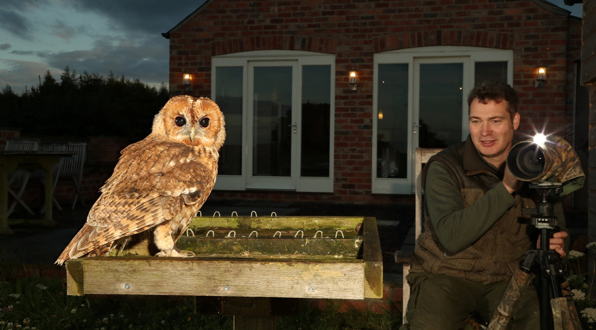 How I get birds of prey to feed in my garden | a bird table with a difference