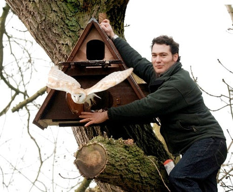 Nest Box Wars Commence!