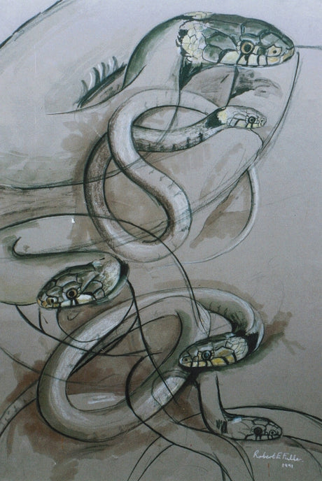 Happy World Snake Day: My Snake Paintings Plus An Exciting Adder Hunt.