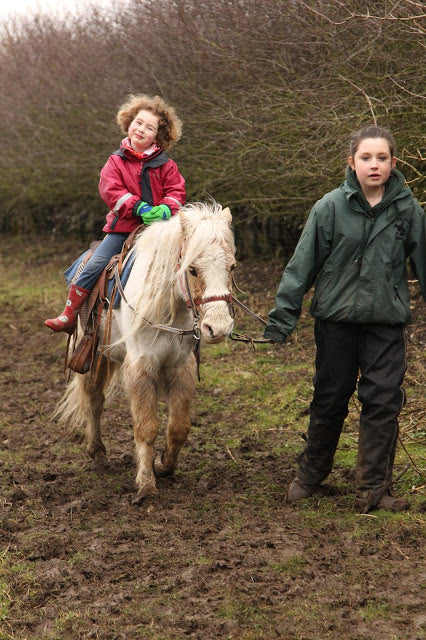 Farm Fun!