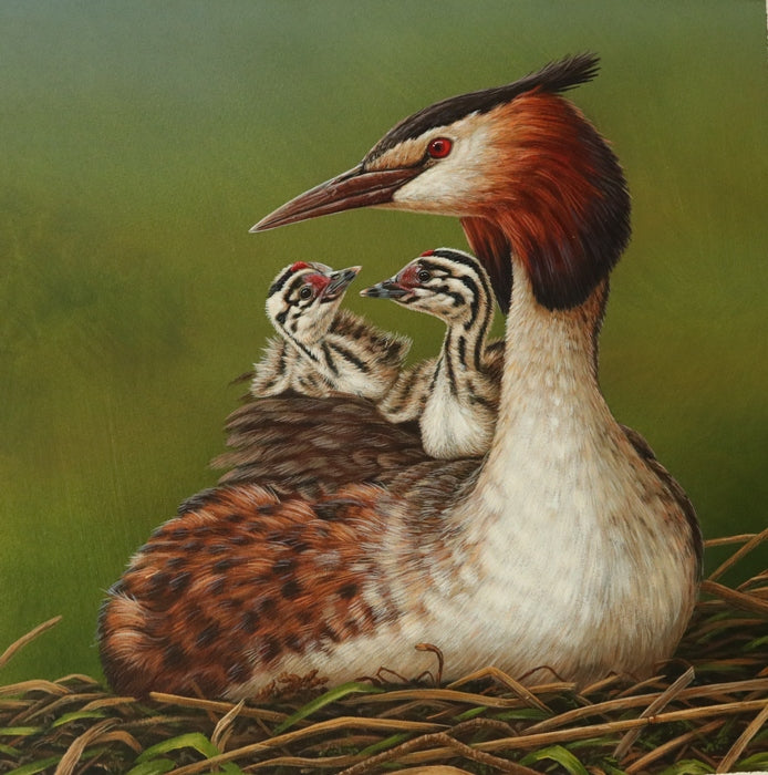 Amazing animal mums | mother's day virtual art exhibition