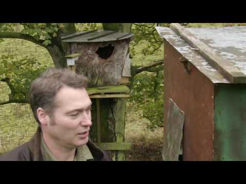 ITV's Calendar on how I have adapted my garden to study wildlife