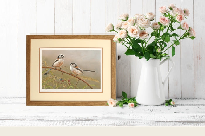 Be the first to see the latest gifts, homeware and prints in my summer wildlife art catalogue