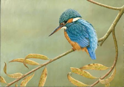 Kingfishers King of the Waterways