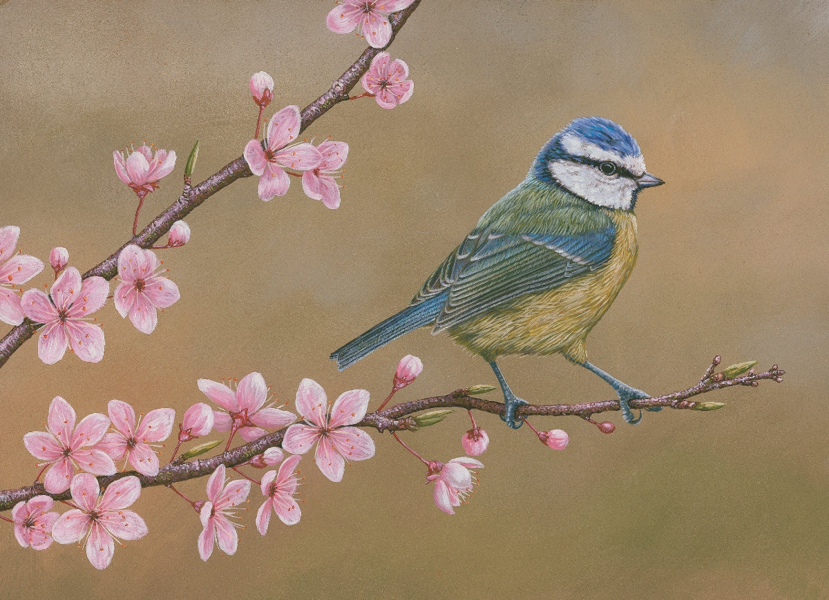 Wildlife paintings inspired by spring