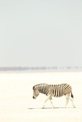 Namibian Desert