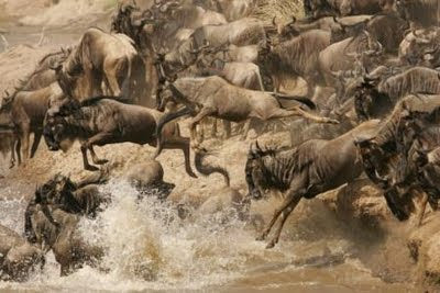 Serengeti Highway