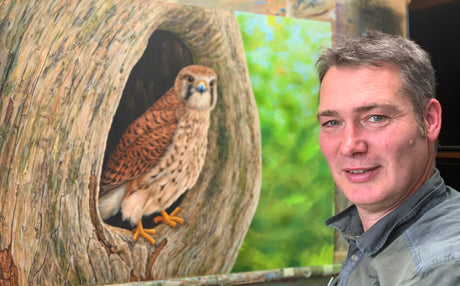 Portrait of a plucky kestrel | A tribute to Mrs Kes