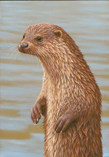 Otter hunt