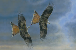 Red Kite Walk