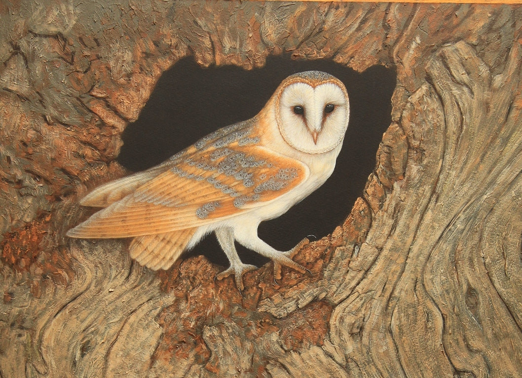 How I Make Bird Boxes From Old Tree Stumps to Watch Owls & Kestrels for My Paintings